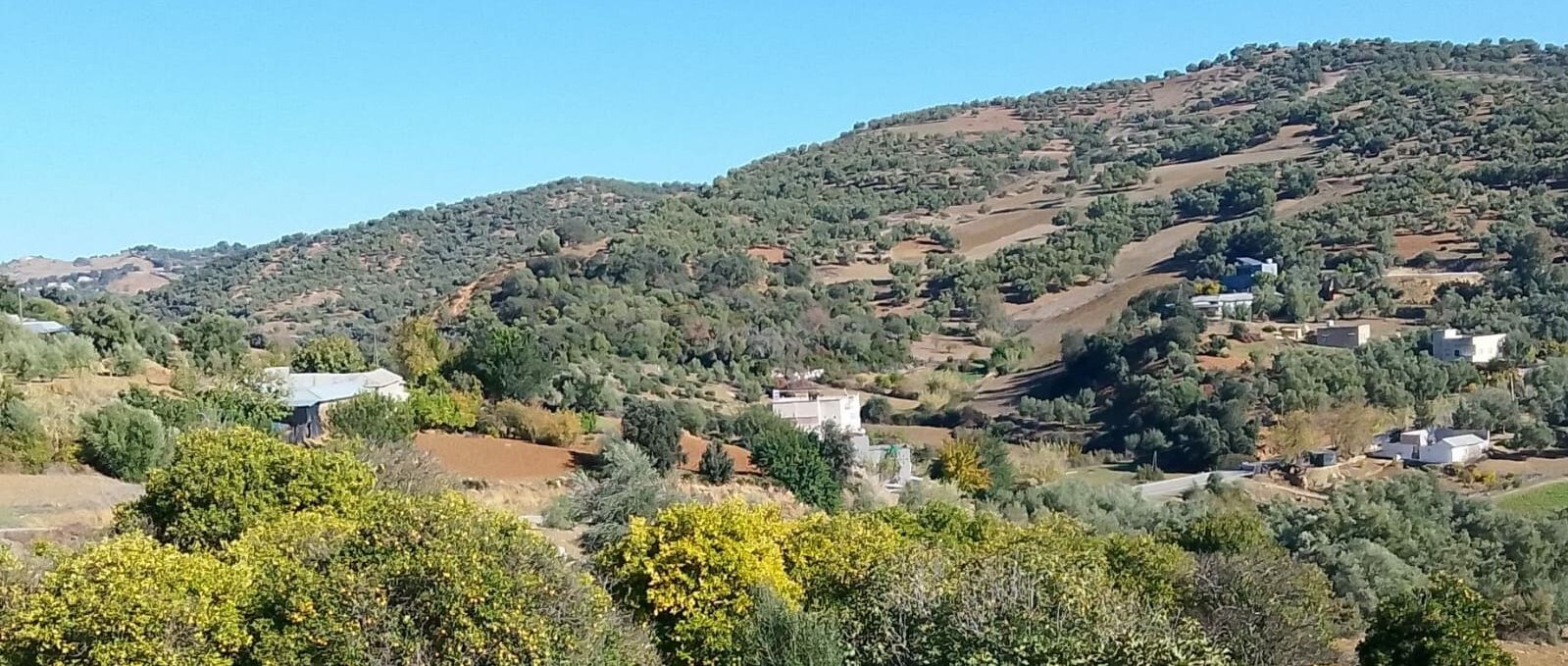 Les Voyages de Béber