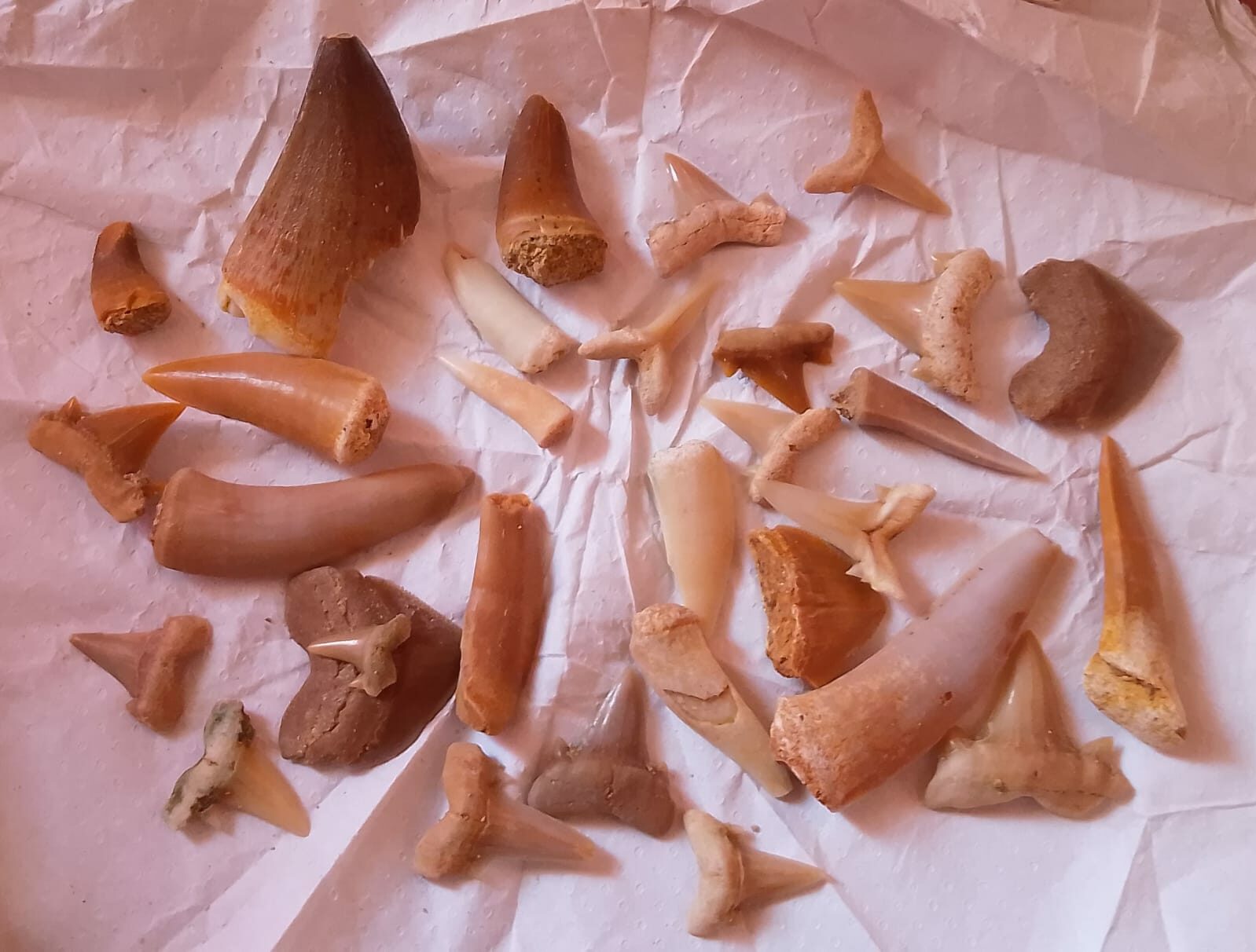 Les Voyages de Béber